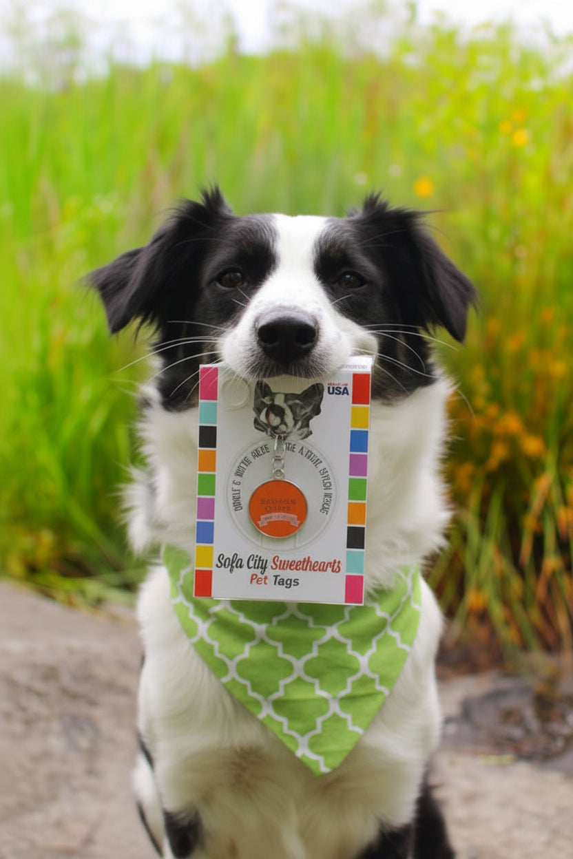 Seoul Kpop Store™ Personalized Pet ID Tag — Resin-Sealed, Scratch & Water Resistant